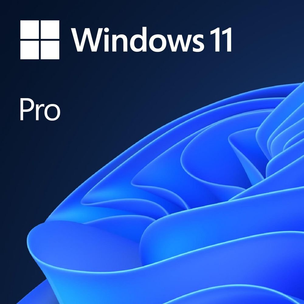 Microsoft Windows 11 Pro OEM DVD